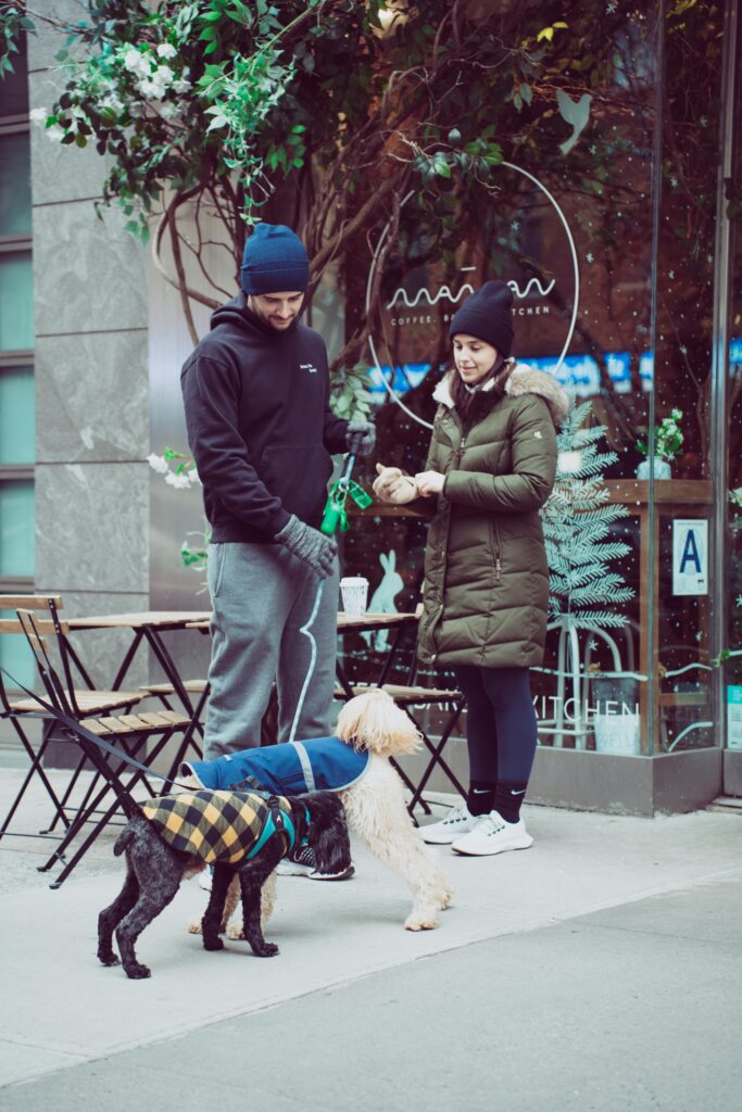 A couple walks their fashionable dogs outside a cozy urban café, enjoying a cold winter day.