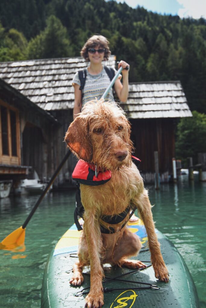 Woman and dog enjoy paddleboarding on a serene lake surrounded by nature.
